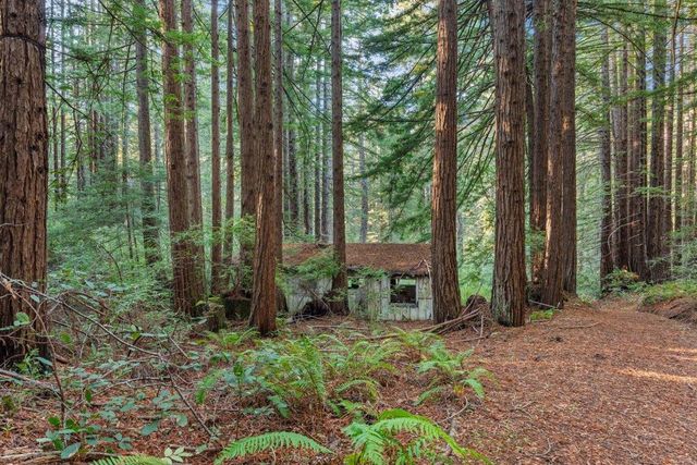3936 Tunitas Creek Road, Half Moon Bay, CA 94019
