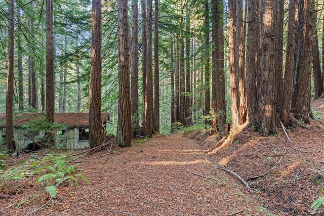 3936 Tunitas Creek Road, Half Moon Bay, CA 94019