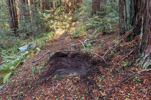 3936 Tunitas Creek Road, Half Moon Bay, CA 94019