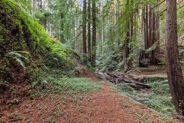 3936 Tunitas Creek Road, Half Moon Bay, CA 94019