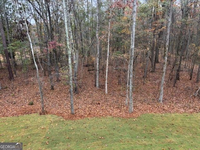 229 Summit View Drive, Mcdonough, GA 30253