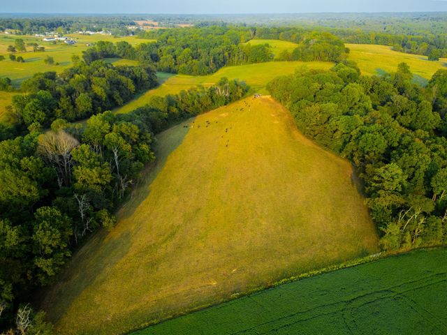 1074 Pair Six Dr, Springfield, TN 37172