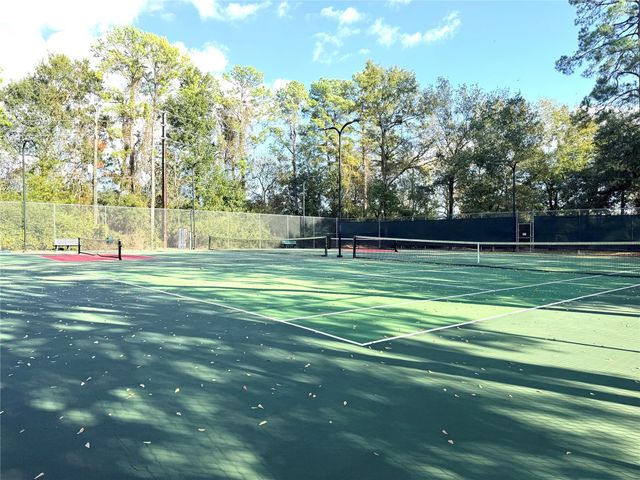 20403 Sagecombe Court, Spring, TX 77388