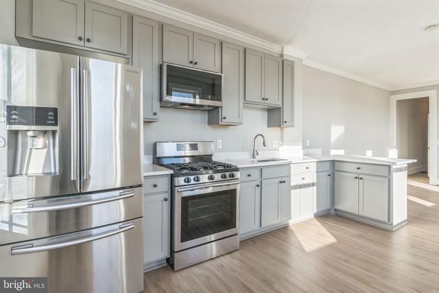 1243 E LANVALE ST, Baltimore, MD 21202