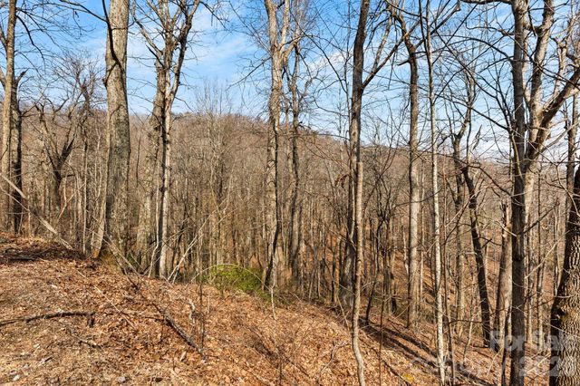 Lot 5 Laurel Mountain Trail, Black Mountain, NC 28711