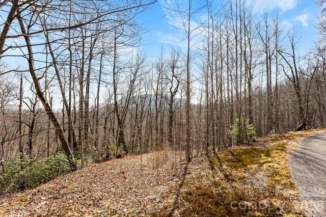 Lot 5 Laurel Mountain Trail, Black Mountain, NC 28711