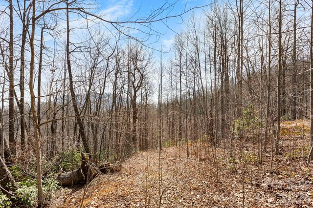 Lot 5 Laurel Mountain Trail, Black Mountain, NC 28711
