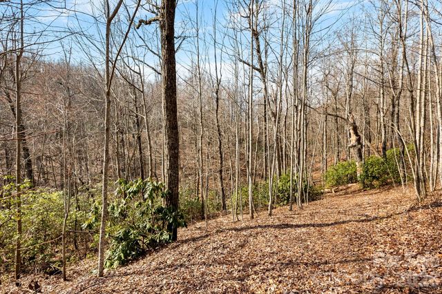 Lot 5 Laurel Mountain Trail, Black Mountain, NC 28711