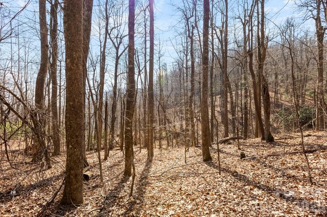 Lot 5 Laurel Mountain Trail, Black Mountain, NC 28711