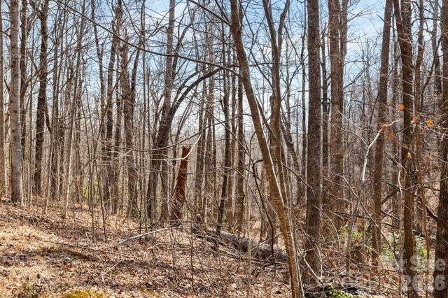 Lot 5 Laurel Mountain Trail, Black Mountain, NC 28711