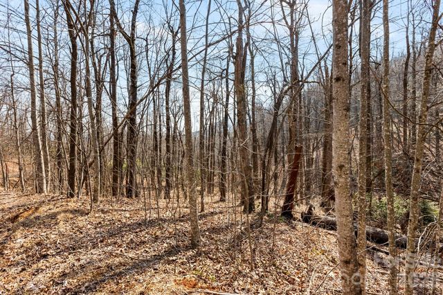 Lot 5 Laurel Mountain Trail, Black Mountain, NC 28711