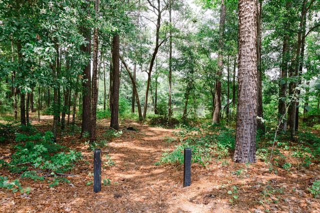 126 Red Leaf Boulevard, Moncks Corner, SC 29461