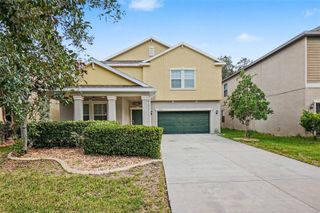 14218 BLUE DASHER DRIVE, Riverview, FL 33569