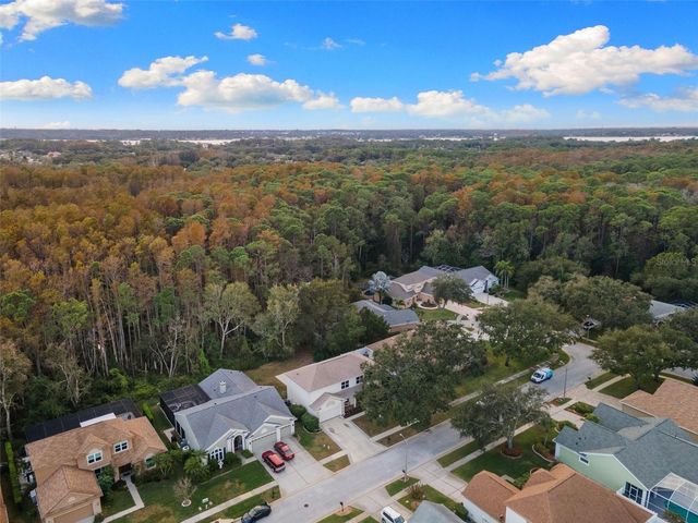 4242 ELLINWOOD BOULEVARD, Palm Harbor, FL 34685