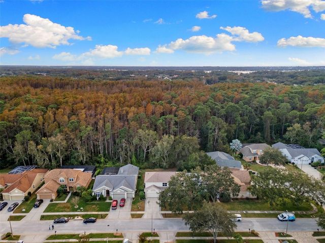 4242 ELLINWOOD BOULEVARD, Palm Harbor, FL 34685