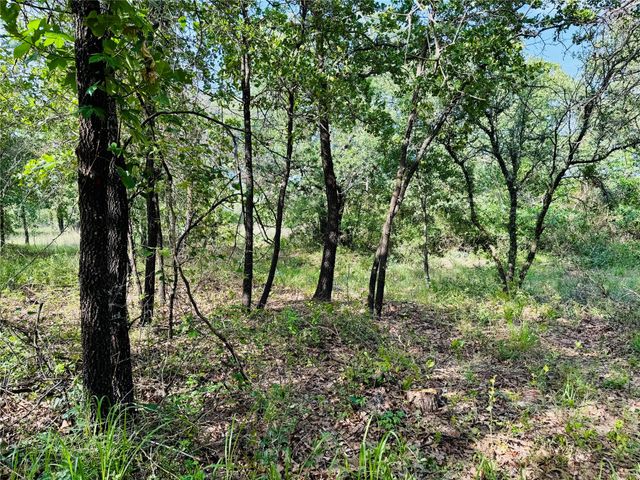 129 Salt Flat Court, Springtown, TX 76082