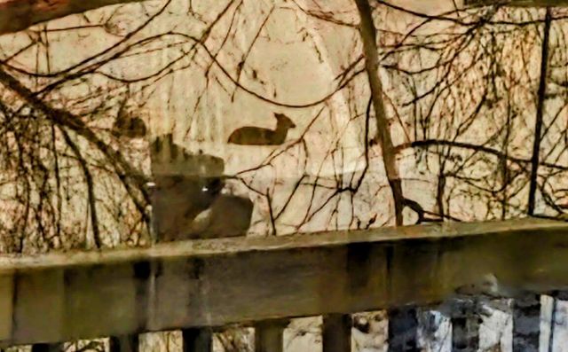 816 Clay STREET, Watertown, WI 53098