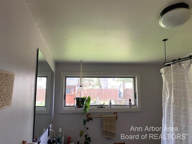 3329 Cardinal Avenue, Ann Arbor, MI 48108