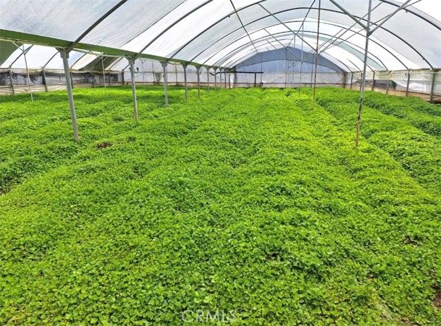 41790 Jay Dee Lane, Anza, CA 92539