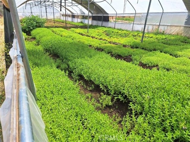 41790 Jay Dee Lane, Anza, CA 92539