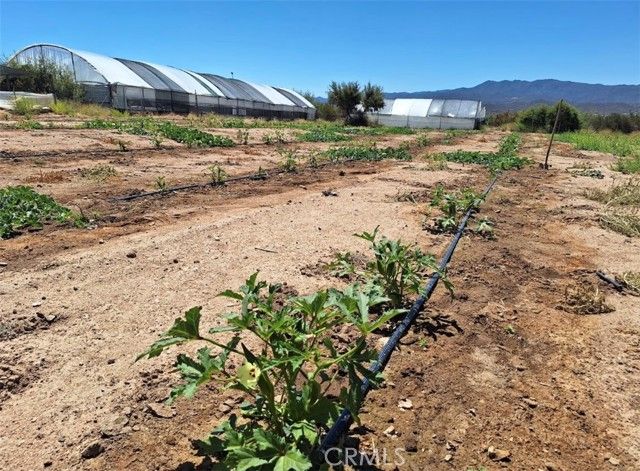 41790 Jay Dee Lane, Anza, CA 92539