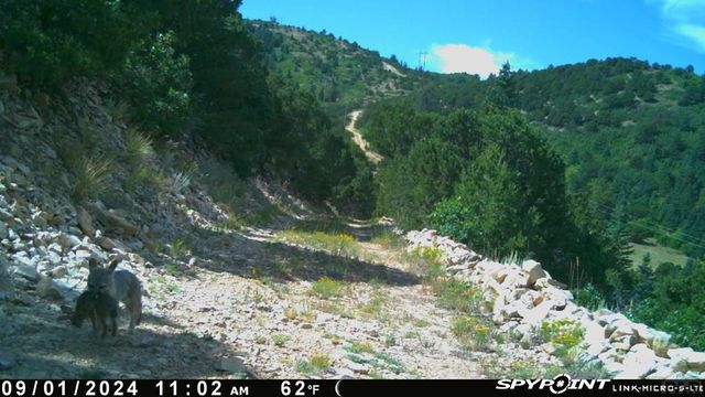 233&235 County Rd 542, Gardner, CO 81040