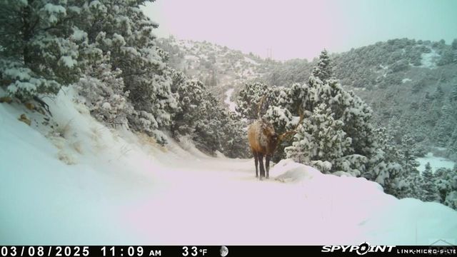233&235 County Rd 542, Gardner, CO 81040