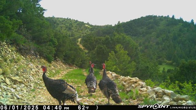 233&235 County Rd 542, Gardner, CO 81040