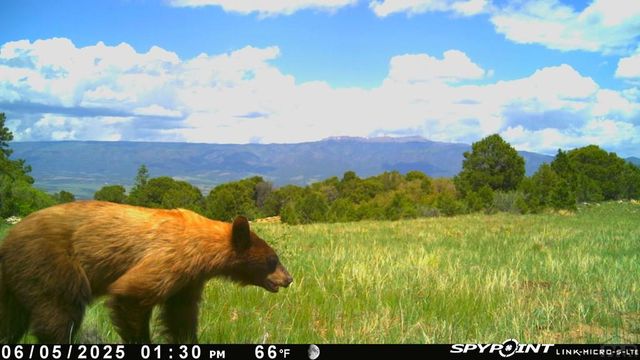 233&235 County Rd 542, Gardner, CO 81040