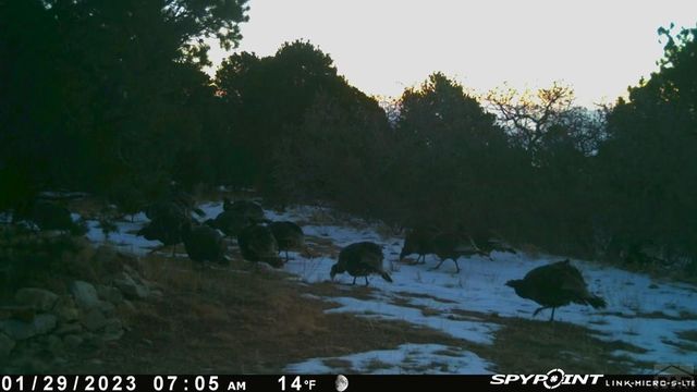 233&235 County Rd 542, Gardner, CO 81040