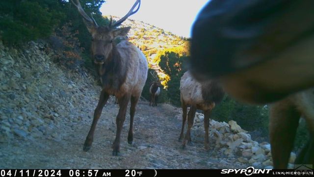 233&235 County Rd 542, Gardner, CO 81040