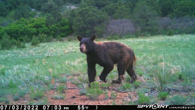 233&235 County Rd 542, Gardner, CO 81040
