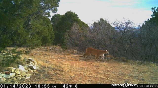 233&235 County Rd 542, Gardner, CO 81040