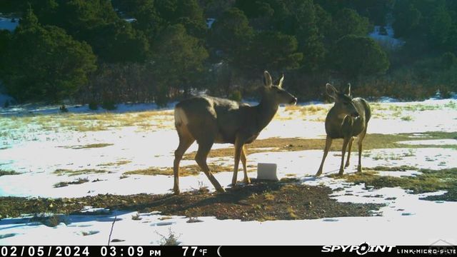 233&235 County Rd 542, Gardner, CO 81040