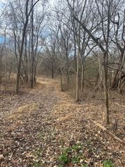 0 Mayo Rd, Adams, TN 37010