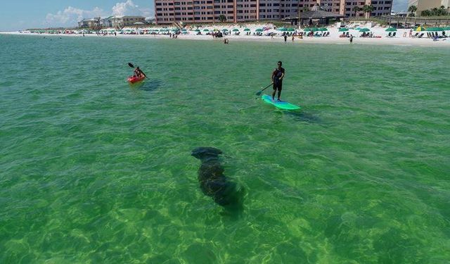 500 Gulf Shore Drive UNIT 518A, Destin, FL 32541