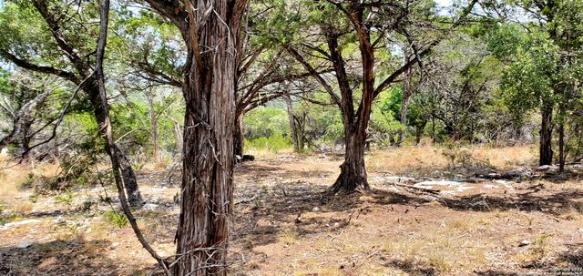 0000 N PARK RD, Canyon Lake, TX 78133