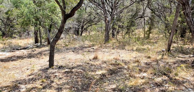 0000 N PARK RD, Canyon Lake, TX 78133