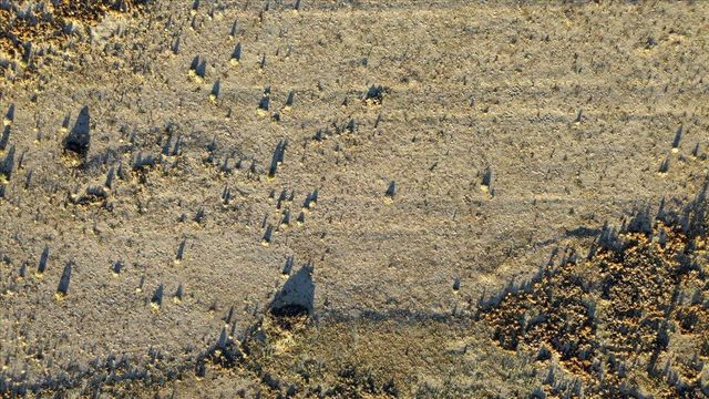 39441 E 140th Street, Palmdale, CA 93591