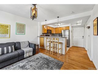 1833 N Williams St 504, Denver, CO 80218