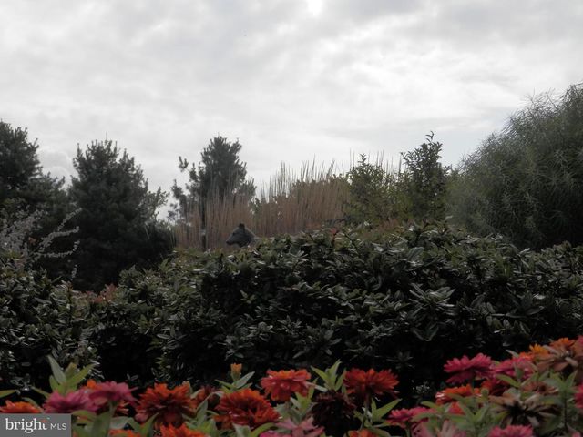 4106 POPLAR ST, Garnet Valley, PA 19060