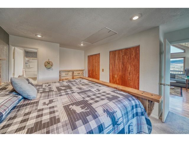 229 Ladigo Ln, Hartsel, CO 80449