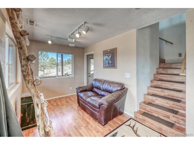 229 Ladigo Ln, Hartsel, CO 80449