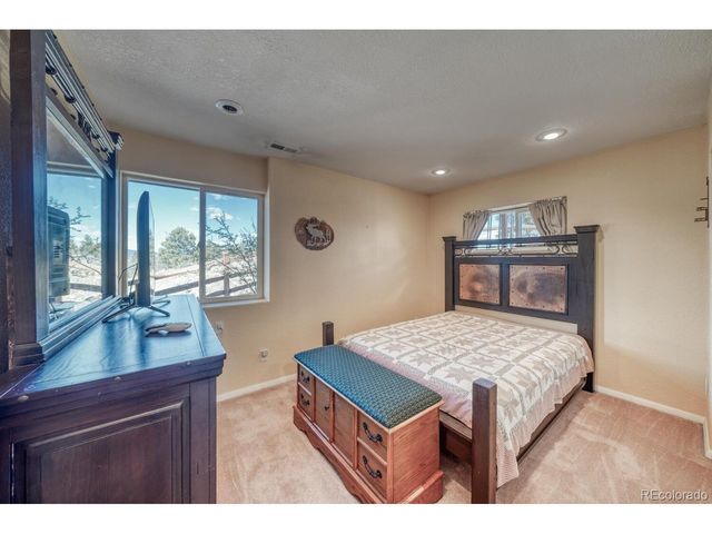 229 Ladigo Ln, Hartsel, CO 80449