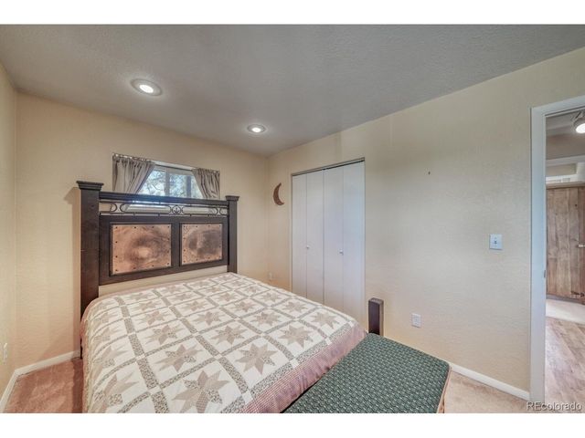 229 Ladigo Ln, Hartsel, CO 80449