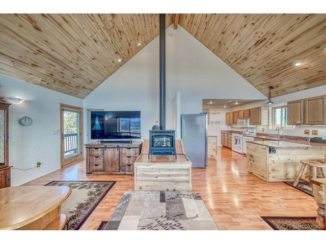 229 Ladigo Ln, Hartsel, CO 80449