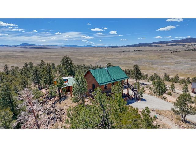 229 Ladigo Ln, Hartsel, CO 80449