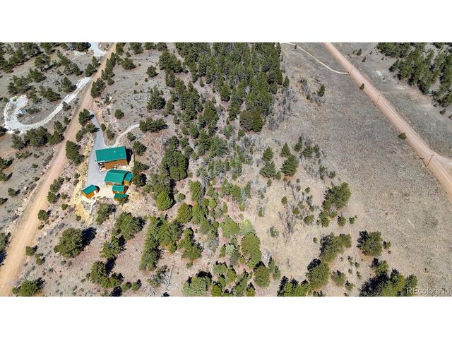 229 Ladigo Ln, Hartsel, CO 80449