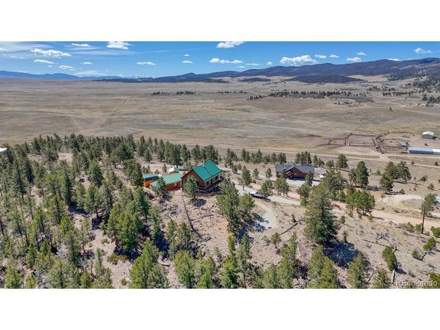 229 Ladigo Ln, Hartsel, CO 80449