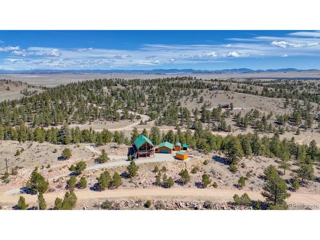 229 Ladigo Ln, Hartsel, CO 80449